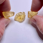 Golden Scapolite - Tanzania