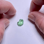 Merelani Mint Garnet - Tanzania