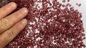 Malaya Garnets - Tanzania (BULK)