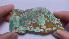 Load and play video in Gallery viewer, Webbed Variscite - Australia
