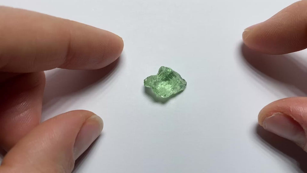 Merelani Mint Garnet