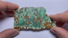 Load and play video in Gallery viewer, Webbed Variscite - Australia
