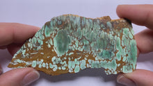 Load and play video in Gallery viewer, Webbed Variscite - Australia
