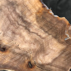 Hells Canyon Petrified Wood